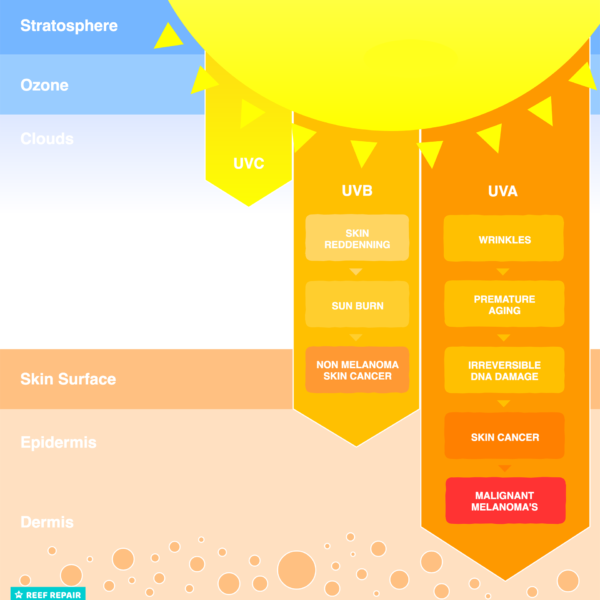 Why High SPF Is Bullshit *NSFW