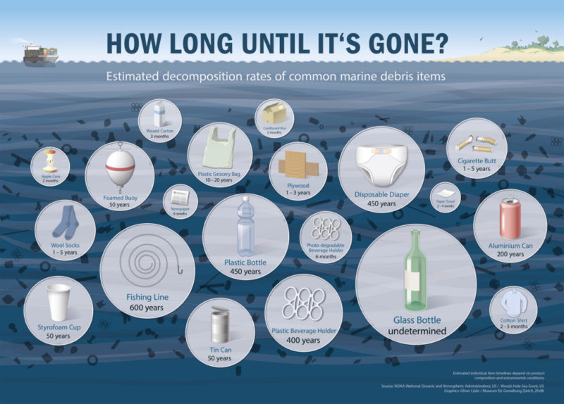 Biodegradability timeline for common plastic items