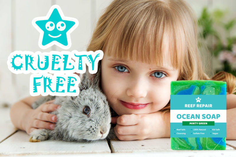 Cruelty Free Ocean Safe Soap Minty Ocean Scent Reef Safe Soap Reef Repair Skin Care