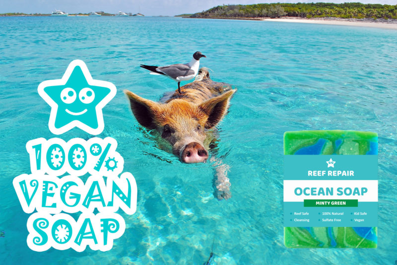 Vegan Reef Safe Vegan Soap Minty Green Reef Repair Skin Care